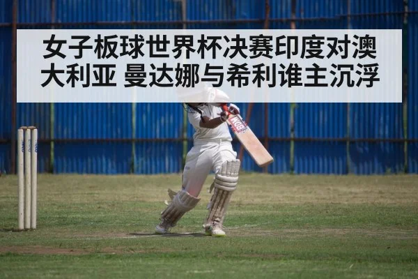 女子板球世界杯决赛印度对澳大利亚 曼达娜与希利谁主沉浮
